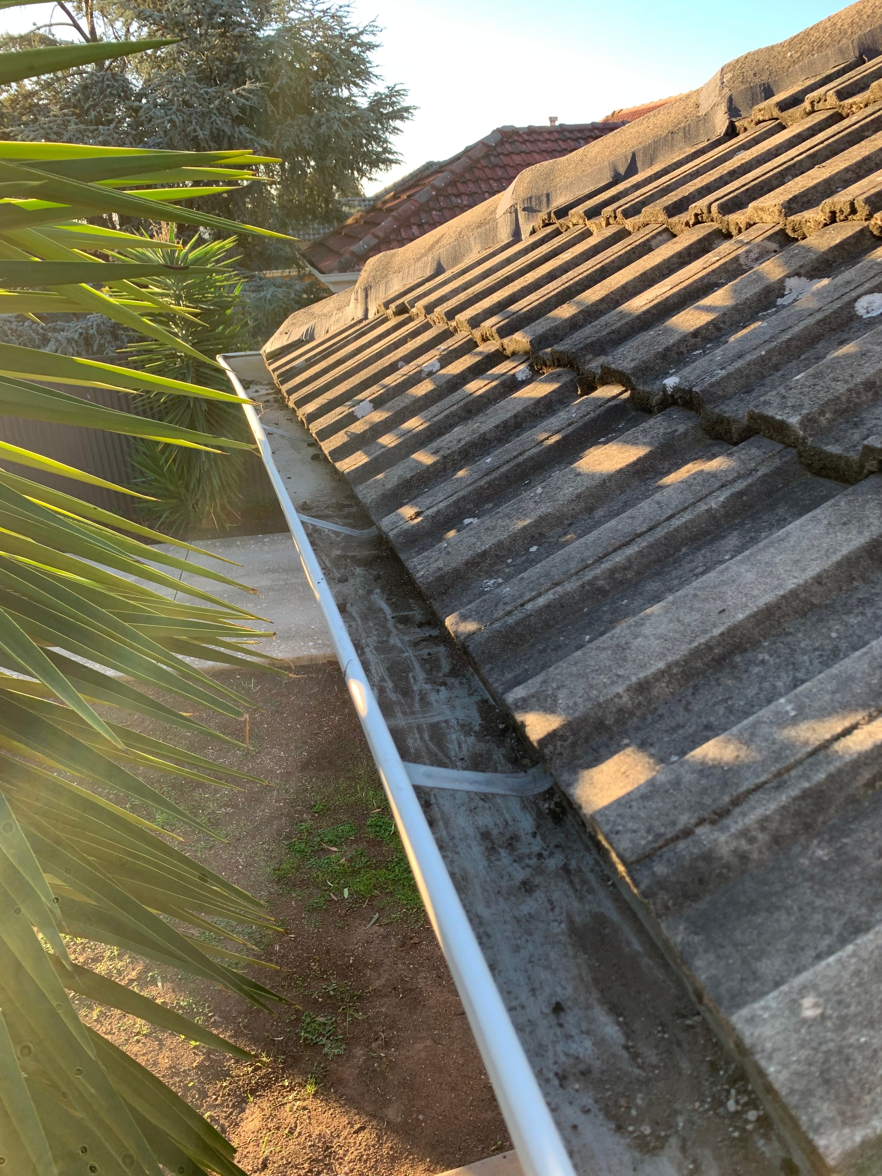 Roof clean - Adelaide