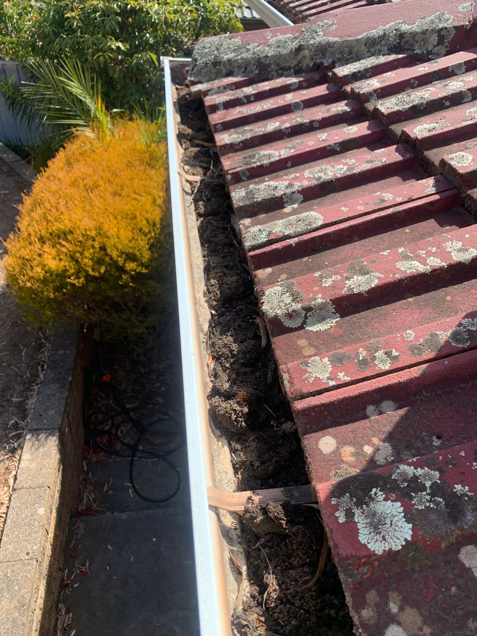 Job 2 – Gutter & roof clean before