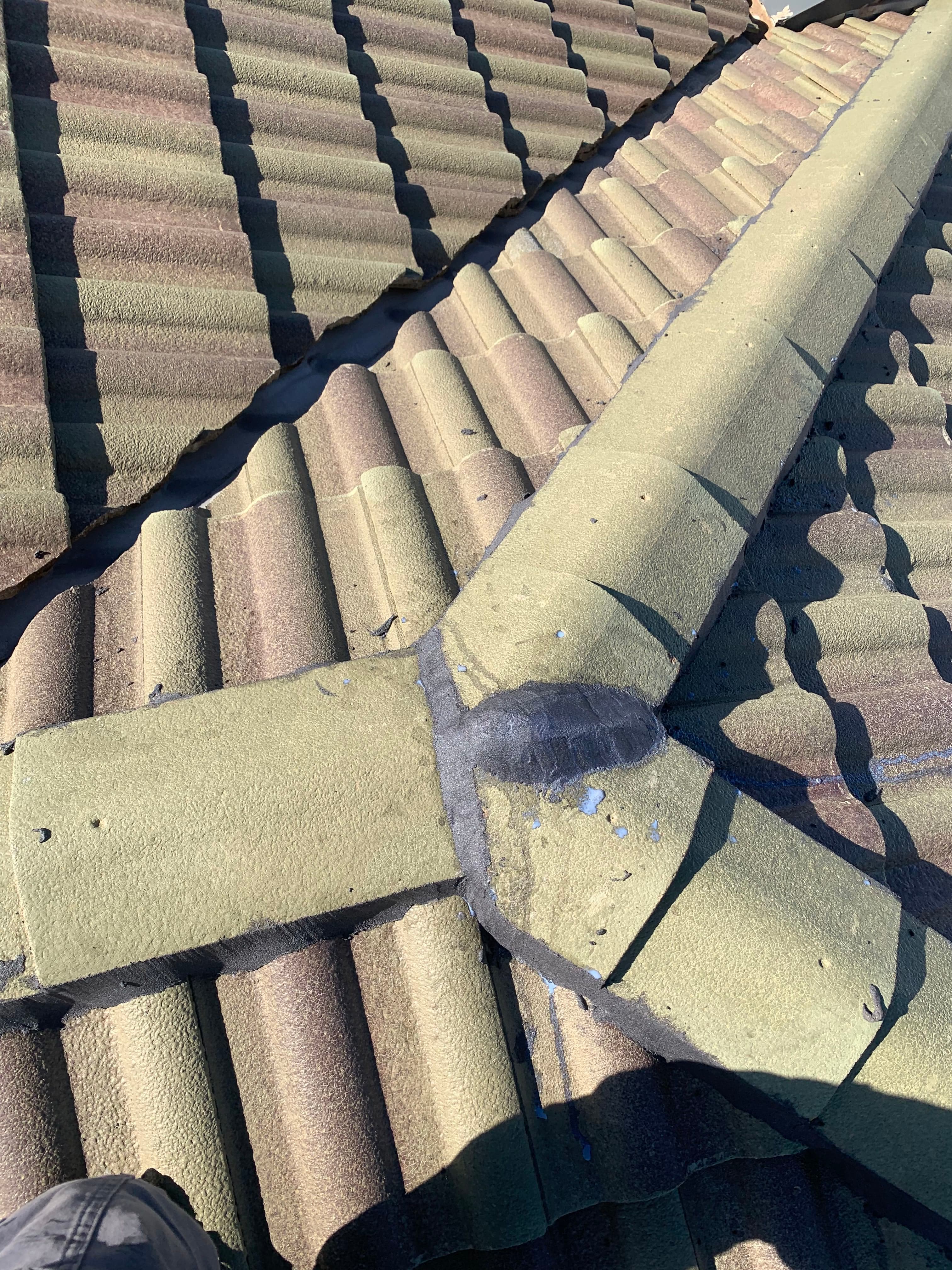 Job 4 – Tiled roof restoration before